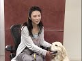 『犬と私の10の約束』田中麗奈＆ソックス　単独インタビュー - シネマトゥデ