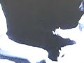 clip video