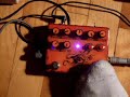 Eight Bit Organism - demo 2