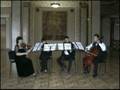 videos de Lucky Charm String Quartet, Ukraine