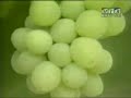 MyMacedonia!