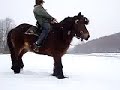 palle-terre-a-terre.html