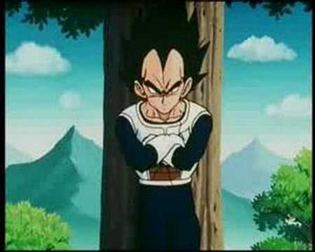 BULMA FOLLANDO