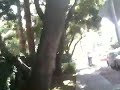 video2.mov Video video2.mov Video