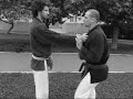 Waki gatame