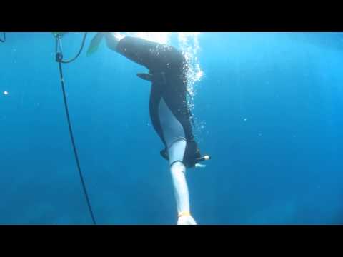 how to practice duck diving