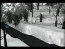 Snowy Project Animation