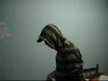 saw4 trailer - funny