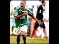 Parab�ns Palmeiras minha vida � voc�.