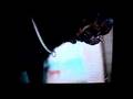 Rottweiler video