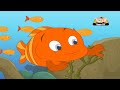 Nursery Rhyme - Three Little Fishies