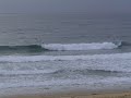 Shelly Beach (Central Coast) NSW