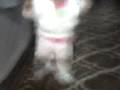 videos de 09-05-08 1959