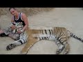THAILAND MOVIE TRAILER-BLANQUITO