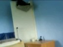 Stevie b jumps to his bed