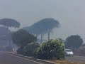 Incendio nella pineta di Castelfusano ad Ostia del 26 lug 08