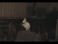 Dancing/singing Cockatoo and African Grey