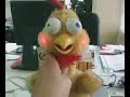 Pollo anti stress planesiano Pollo anti stress planesiano