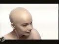 Bjork - Hunter