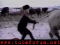öküz kayağı