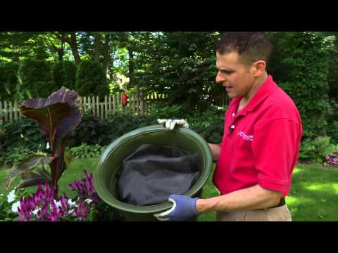 how to plant in a pot