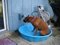 Pool boxer