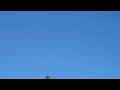 Athol: Jumptown Skydivers from Orange Municipal Airport (Viewed from 55+ Trailer Park)