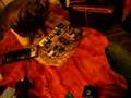 Orphan Fairytale, live set in container for Bivak Gloria
