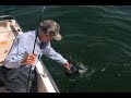 How to Catch Huge Black Sea Bass -Saltwater Sea Bass Fishing