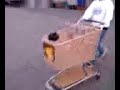 wheelchair fun.3g2