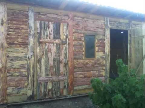 Курятник из горбыля фото Курятник из горбыля фото