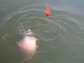 Pescando no Tio Oscar