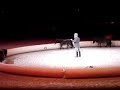 Spectacle de Pieric - Emile Tabourin et les Falabellas