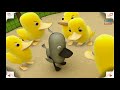 el patito feo - cuentos infantiles