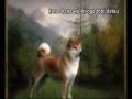 videos de SNK 08 ENDING KARAOKE version