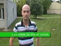Dans le cadre du Plan Séisme, le CETE Méditerranée a réalisé des interviews d'acteurs du risque sismique : ici, il s'agit d'Étienne Bertrand, chercheur-sismologue