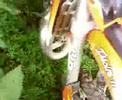 KTM 125 2005