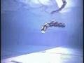 Amphibious Robot Snake