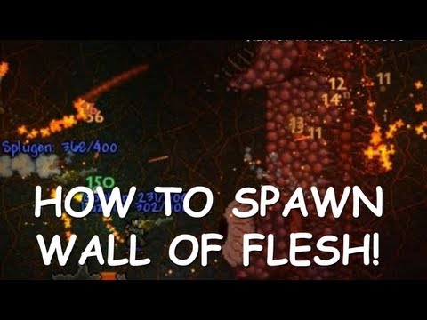 Spawn