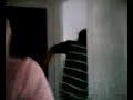 buscandoooooo buscandoooooo