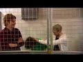 17th June - download Worried About Ray: Cagematch