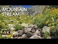 4K MOUNTAIN STREAM - RELAXING WATER SOUNDS - NO BIRDS - ULTR ..