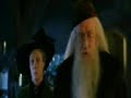 harry fotter