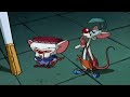 Pinky y cerebro se infiltran en los illuminatis