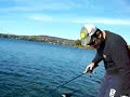Bass\