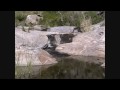 Cedar Creek Frog hop 0001