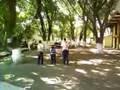 videos de arriba abajo