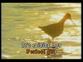 karaoke   geri halliwell   its raining men