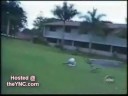 videos estupidos