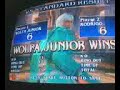 wolfa junior soul calibur iii